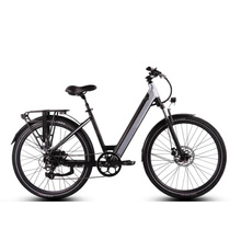 Factory Direct Sale MTB 48V 500W Electric bicycle